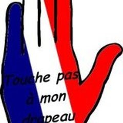 Bras Vengeur