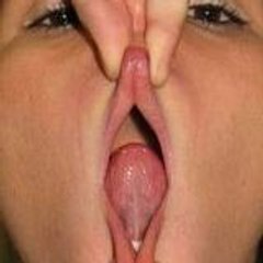 sltashd