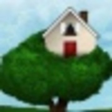Treehouse Photo Sharing