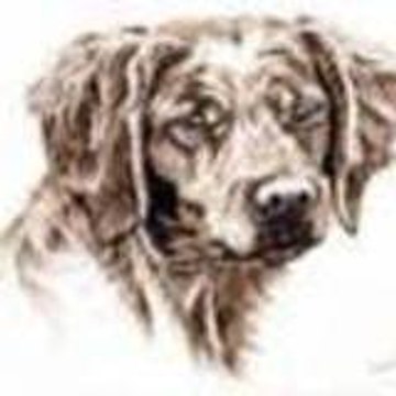 bernadette bernadette dumoulin