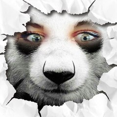 Emachloexavcel