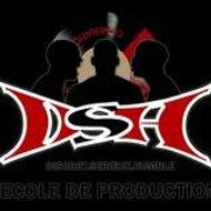 Dsh Ecole de production