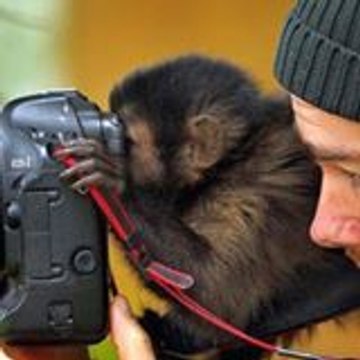 Sports & Entertainment