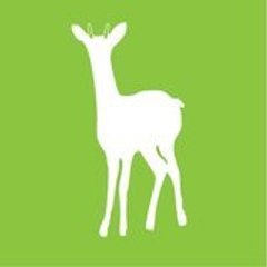 Greenhorn Media