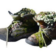 ASSOCIATION PARAY RANDO