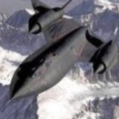 mrblackbird_75