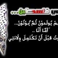 Ameen Bani Matar