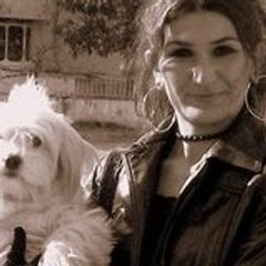 Şeker Çilek Şeker