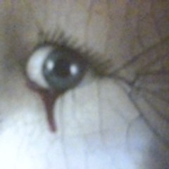 Jose Luis Martin Soria