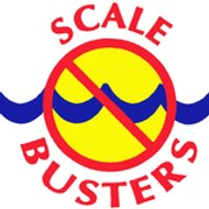 Scale Busters