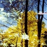 luxexmachina pruductions