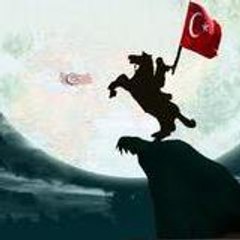 mustafa3816