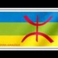 Ibn Ziyad amazigh