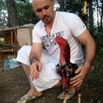 raşit gurel
