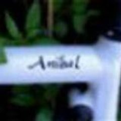 Clipsdeanibal