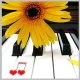 intermezzomusic