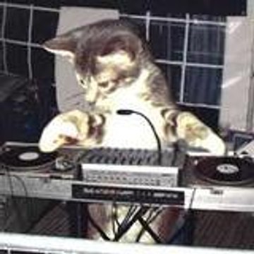 djwhaat