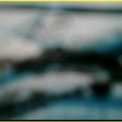 bleudhiver