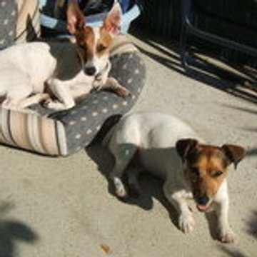 Cannelle & Tornade