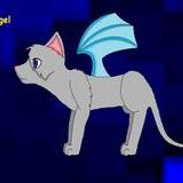 shasathedogandcat