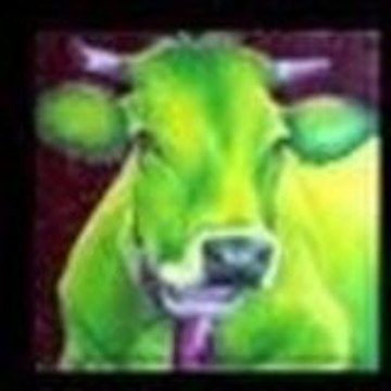AMIE DES VACHES AMIE DES VACHES 2