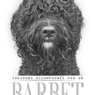 Barbets en Bresse, France