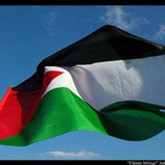 PALESTINE PALESTINE