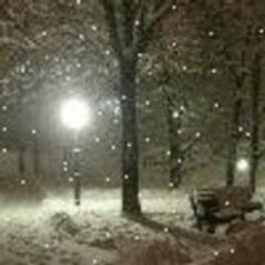 Макс Степанов