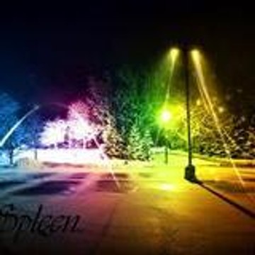 Spleen Music