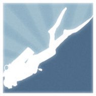 Divebook Organization