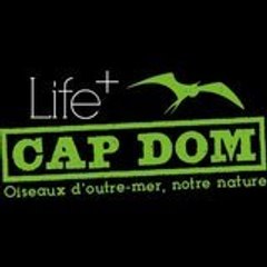 LPO_CapDom