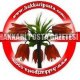 HAKKARİ POSTA GAZETESİ