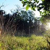 solveig de la hougue