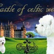 Castle of Celtic West