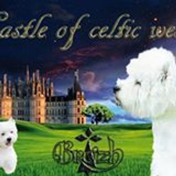 Castle of Celtic West