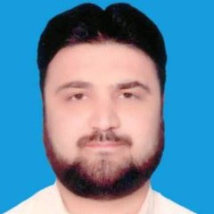 Syed Aleem Shah