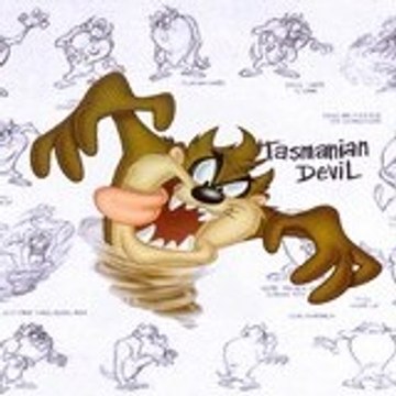 tazdu23