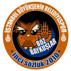 BozBaykuslar