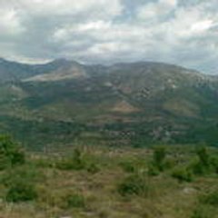 atsep
