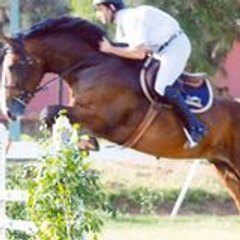 omar qermane