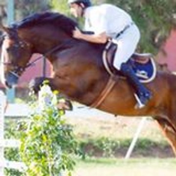 omar qermane