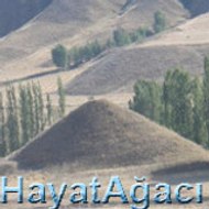 definelerim.com definecilikte lider