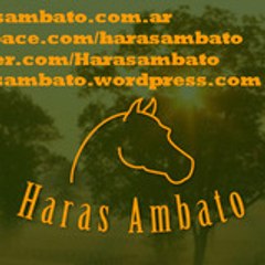 Haras Ambato