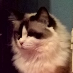 Ljotur