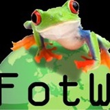 Frogon Theweb