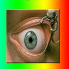 l'oeil ouvert