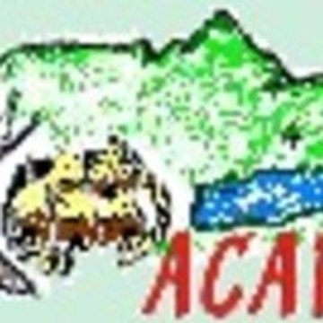 ACAPIGA