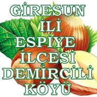 Giresun ili Espiye İlçesi Demircili Köyü