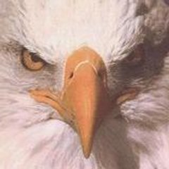 HigherThanEagle