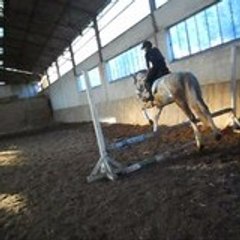 chloexgamin